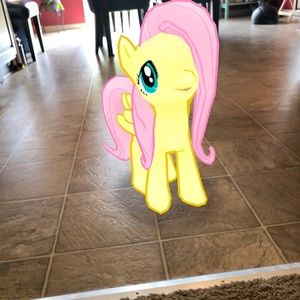 Meet your Posher, Lucinda